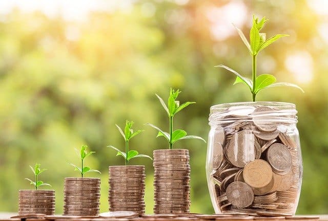 Jars of Sprouting Coins from following your Human Design in business