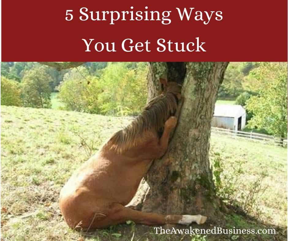 Horse stuck in a tree
