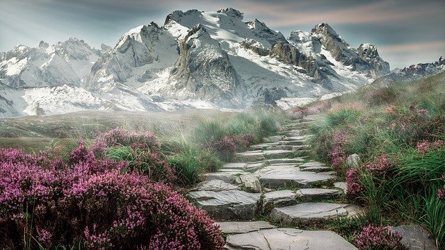 Path to a beautiful mountain lined with purple flowers