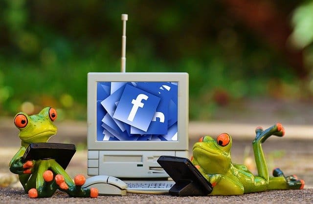 two frogs using facebook