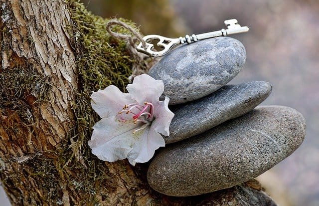 key, flower and rocks on the tree of transformational coaching