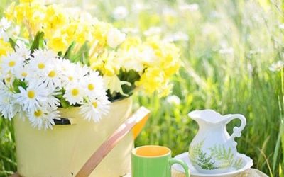 The Wisdom of Coffee For the Business of Transformation