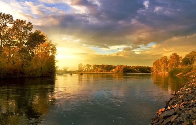 Lake surrounded by trees at sunset