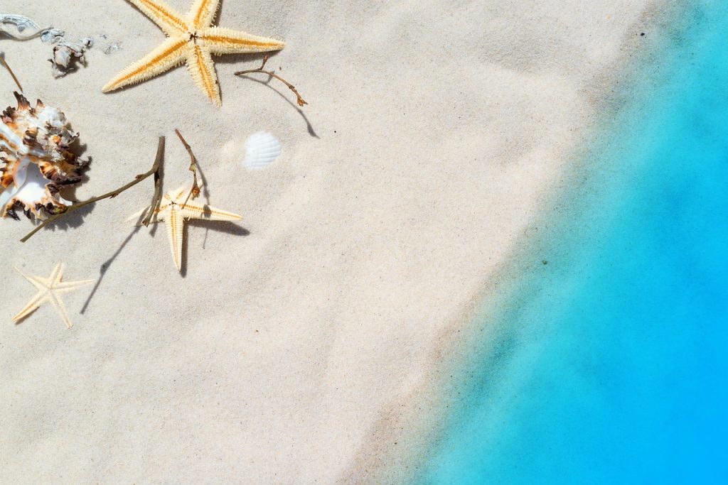 Starfish and shells on a sandy beach