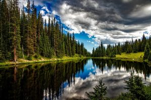 Mountain lake with trees
