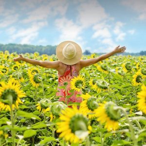 woman in sunflower field