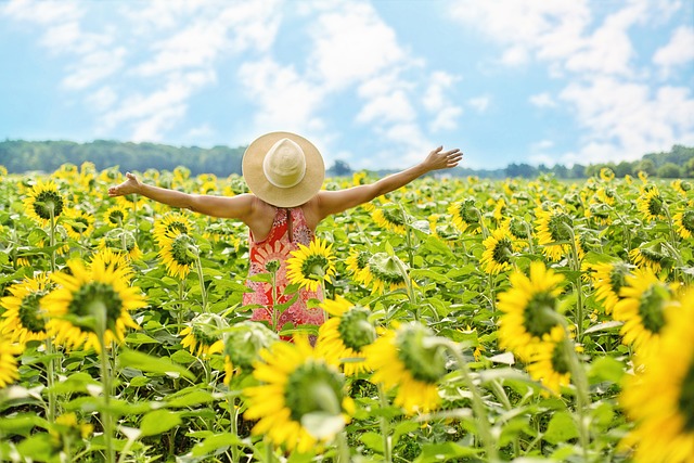 Woman in a sunflower field