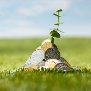 Coins sprouting money