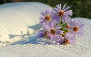 purple flowers in a book