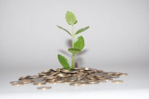 files of coins and a plant