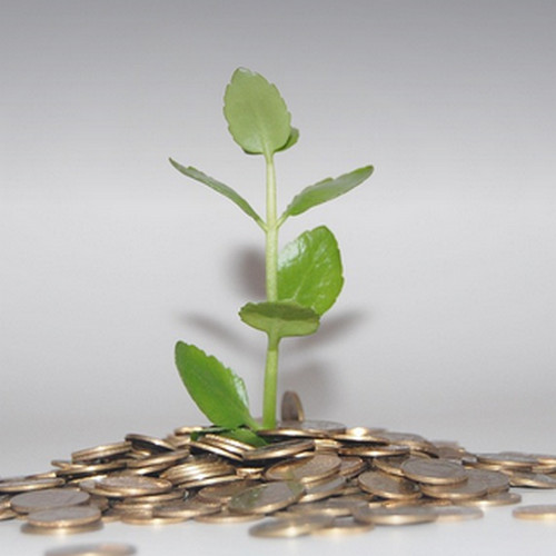 Love Money Sprint Launch Day: The Moment of Truth