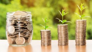 coins with sprout