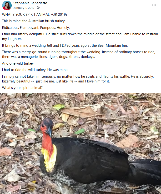 Steph's wild turkey Facebook post