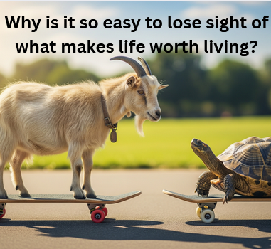 Why I Fell In Love With a Skateboarding Goat and What It Can Teach You About Business