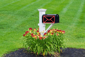 inbox and nature