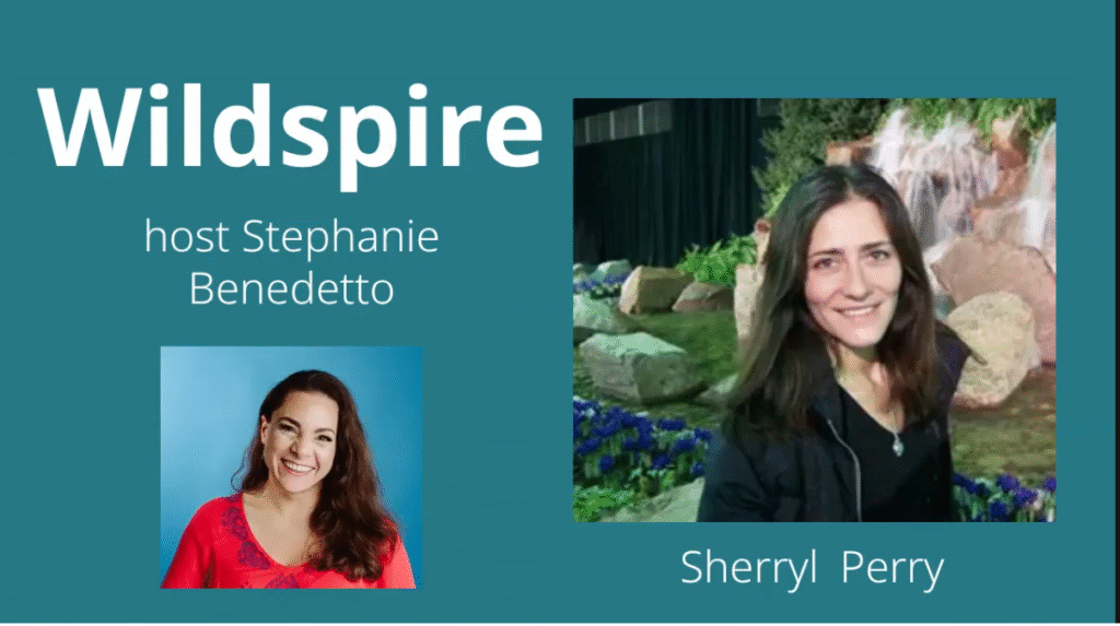 Sherryl Perry on Wildspire podcast
