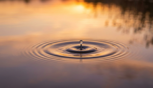 close-up of a water drop impacting a placid pond