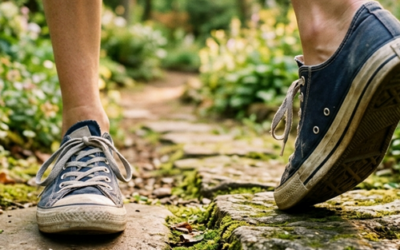 How to Find the Next Natural Step