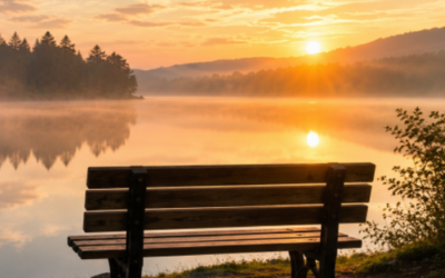 Reflection | Wildspire Sparks Podcast